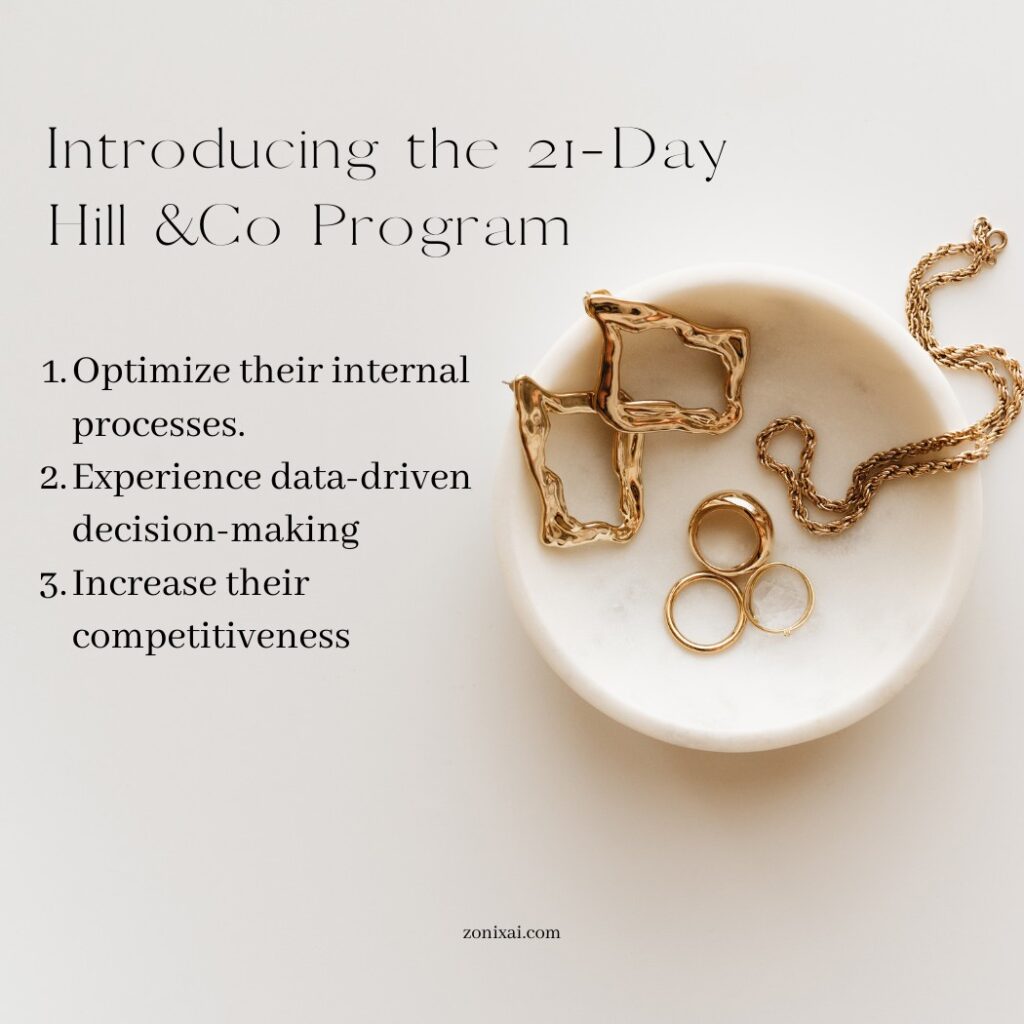 Hill & Co AI Program