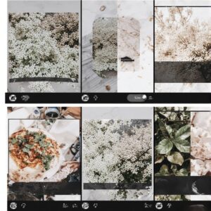 How to Use AI Image Generators to Create Instagram Carousel Posts (2026 Starter Guide)